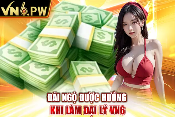 Đãi ngộ được hưởng khi làm đại lý VN6